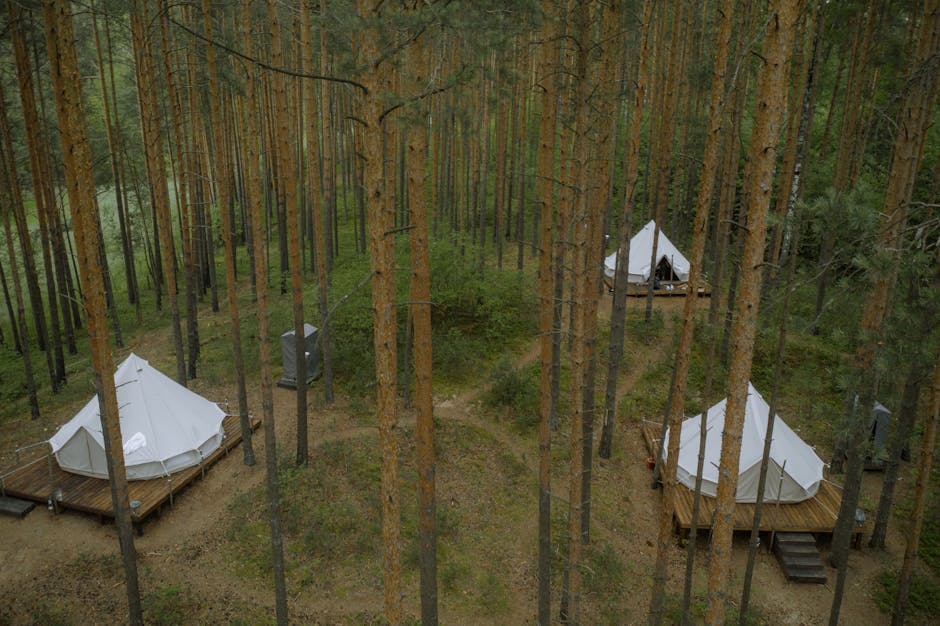Rekomendasi Glamping Nyaman Dengan Suasana Alam