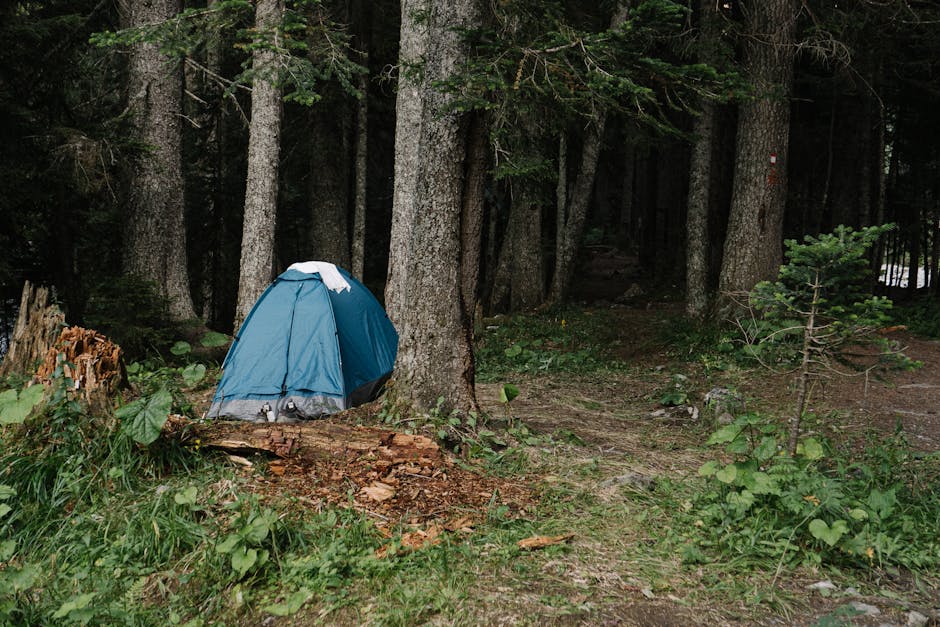 Tempat Camping Aesthetic Untuk Healing Di Jawa Tengah